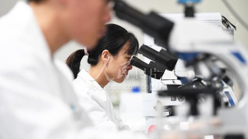 离心管规格解析：从0.5ml到50ml型号的奥秘**