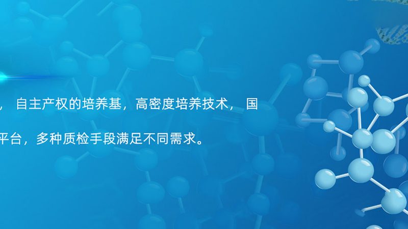 电商CRO转化率提升，揭秘背后的优化策略