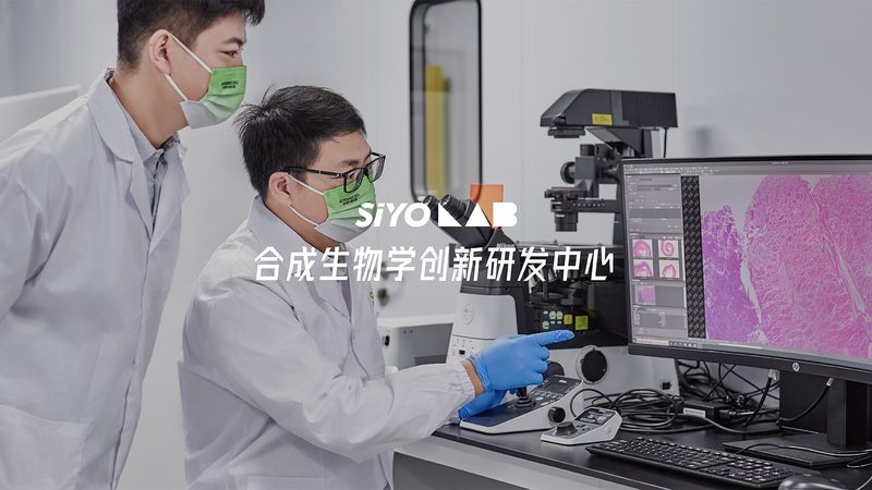 生物科技肥料主要包括以下几种类型：