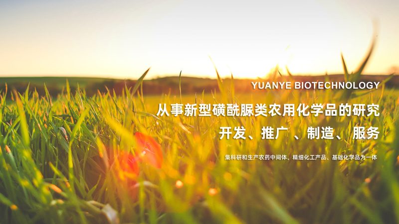 生物医药CRO成本核算：揭秘关键流程与考量因素