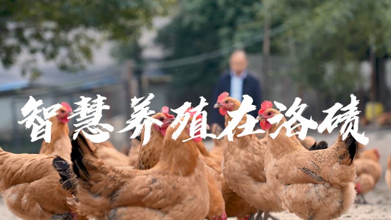 广州生物科技护肤品：揭秘研发实力与品质标准