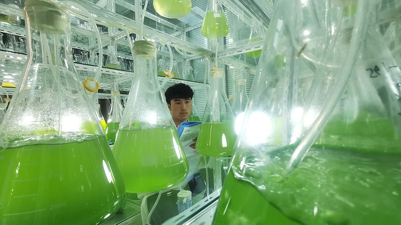 北京生物医药外包项目招标：揭秘项目招标流程与关键要素**
